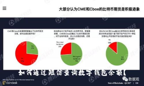 如何通过短信查询数字钱包余额?