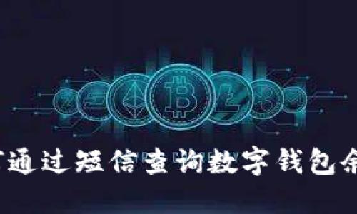 如何通过短信查询数字钱包余额?