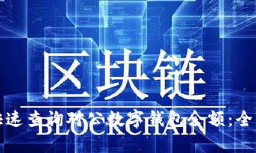 如何快速查询对公数字钱包余额:全面指南