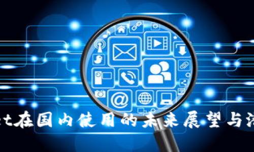 TPWallet在国内使用的未来展望与潜在风险