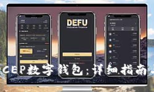 如何下载DCEP数字钱包：详细指南与使用建议