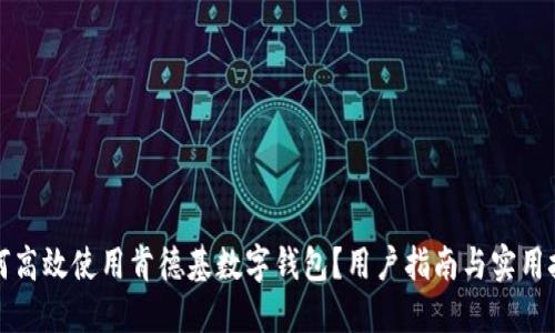 如何高效使用肯德基数字钱包?用户指南与实用技巧