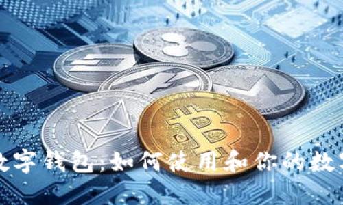云南个人数字钱包：如何使用和你的数字支付体验