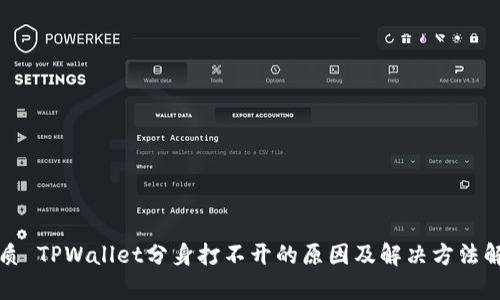 优质 TPWallet分身打不开的原因及解决方法解析