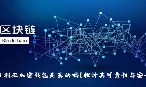 尼日利亚加密钱包是真的吗？探讨其可靠性与安全性