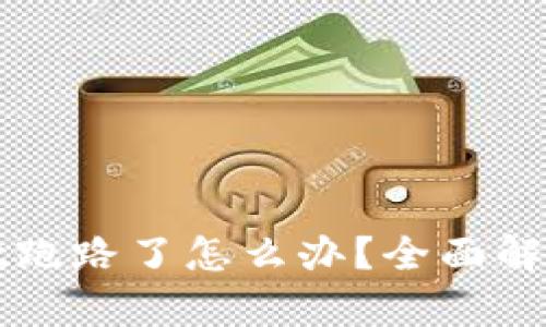 如果TPWallet跑路了怎么办?全面解析及应对策略