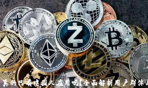 
TPWallet 真的只有中国人在用吗？全面解析用户群体与市场趋势