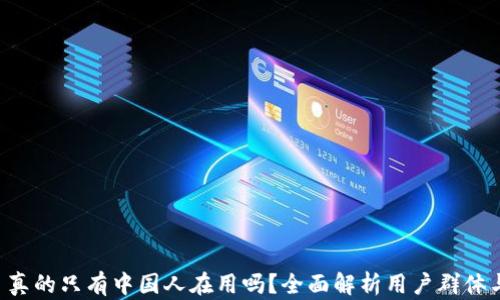 
TPWallet 真的只有中国人在用吗？全面解析用户群体与市场趋势