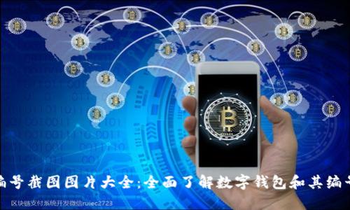 数字钱包编号截图图片大全:全面了解数字钱包和其编号的重要性