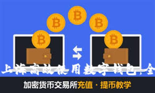 如何在上海高效使用数字钱包:全面指南