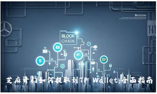芝麻开门如何提取到TP Wallet：全面指南