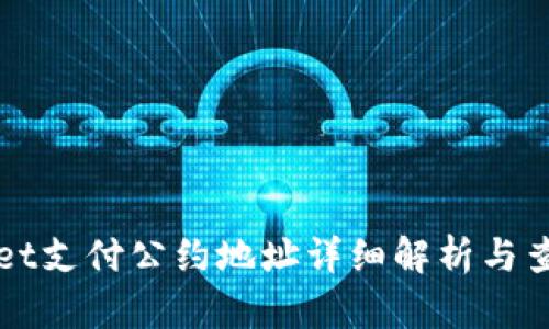 TPWallet支付公约地址详细解析与查询方法