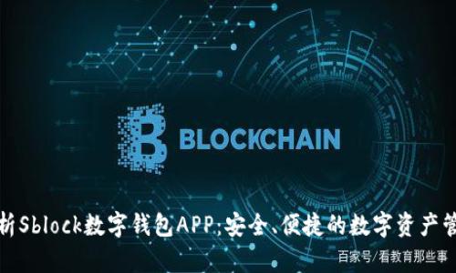 全面解析Sblock数字钱包APP：安全、便捷的数字资产管理工具
