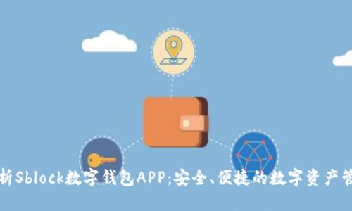 全面解析Sblock数字钱包APP：安全、便捷的数字资产管理工具