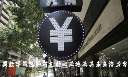 苹果数字钱包如何支持比亚迪及其未来潜力分析