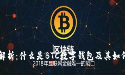 全面解析:什么是BTC数字钱包及其如何使用