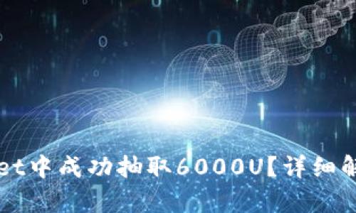 如何在TPWallet中成功抽取6000U？详细解析与实用技巧