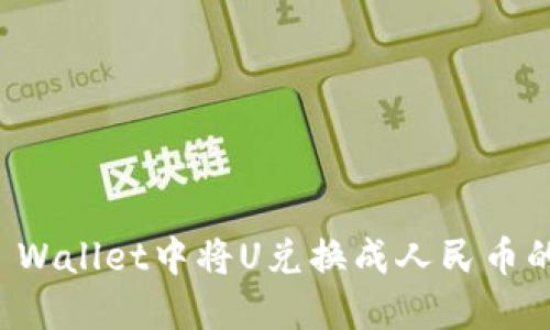 如何在TP Wallet中将U兑换成人民币的详细指南