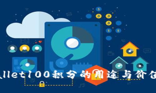 TPWallet100积分的用途与价值详解