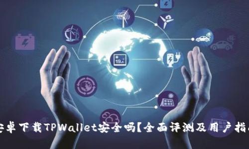 安卓下载TPWallet安全吗?全面评测及用户指南