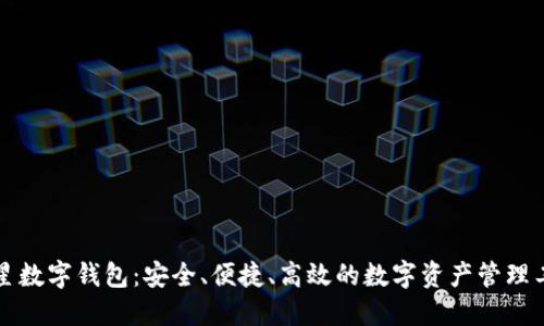 五星数字钱包:安全、便捷、高效的数字资产管理工具