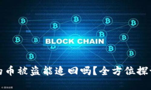 tpwallet里的币被盗能追回吗？全方位探讨及应对策略