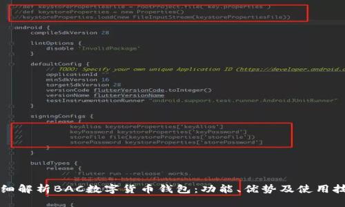 详细解析BAC数字货币钱包：功能、优势及使用技巧