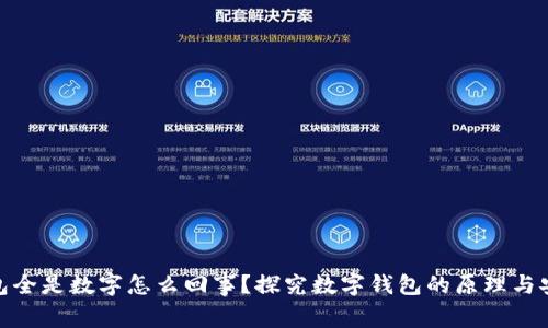 : 钱包全是数字怎么回事？探究数字钱包的原理与安全性