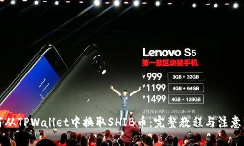如何从TPWallet中换取SHIB币:完整教程与注意事项