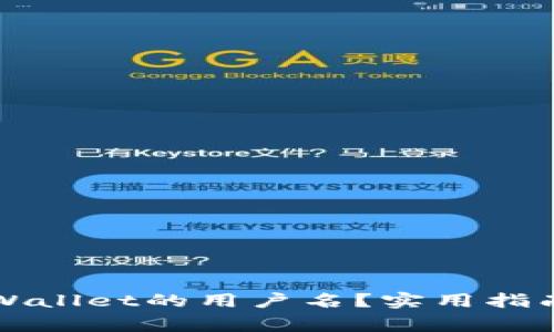 如何查看自己TPWallet的用户名?实用指南与常见问题解答