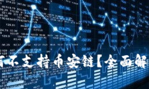 TPWallet为何不支持币安链?全面解析及未来展望