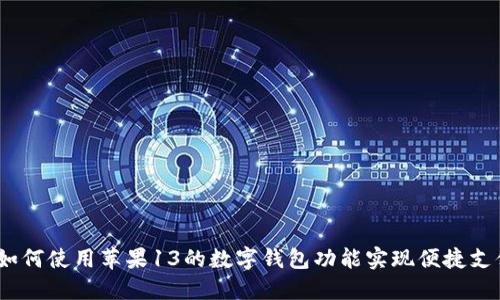 : 如何使用苹果13的数字钱包功能实现便捷支付?