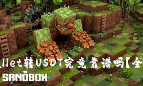 TPWallet转USDT究竟靠谱吗?全面解析