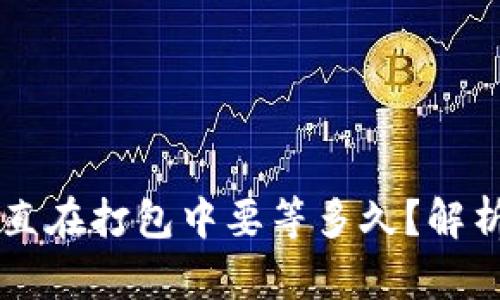 TPWallet一直在打包中要等多久?解析与解决方案
