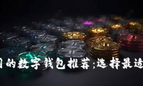 2023年国内可用的数字钱包推荐:选择最适合你的支付工具
