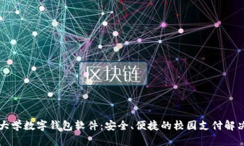清华大学数字钱包软件:安全、便捷的校园支付解决方案
