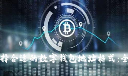 如何选择合适的数字钱包地址格式:全面指南
