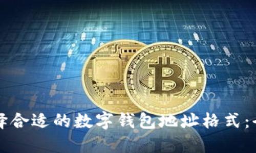 如何选择合适的数字钱包地址格式:全面指南