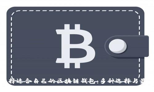 如何选择适合自己的区块链钱包:多种选择与最佳实践
