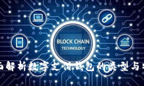 全面解析数字支付钱包的类型与特点