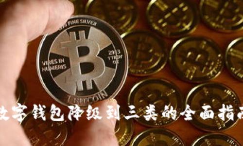 数字钱包降级到三类的全面指南