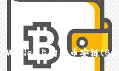 优质
如何在新版TPWallet上购买币安链(BSC)的加密货币