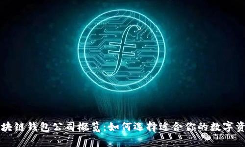 国外最大区块链钱包公司概览：如何选择适合你的数字资产保护工具