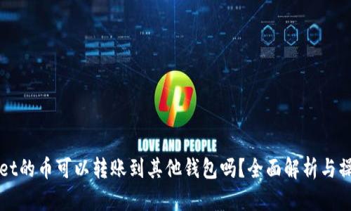 TPWallet的币可以转账到其他钱包吗?全面解析与操作指南