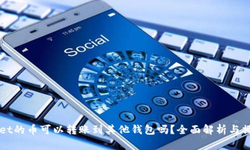 TPWallet的币可以转账到其他钱包吗?全面解析与操作指南