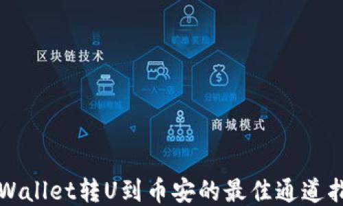 TPWallet转U到币安的最佳通道指南