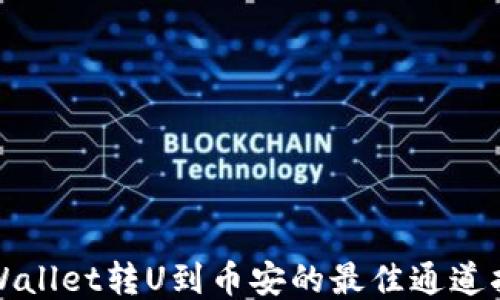 TPWallet转U到币安的最佳通道指南
