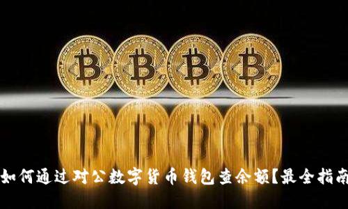 如何通过对公数字货币钱包查余额?最全指南