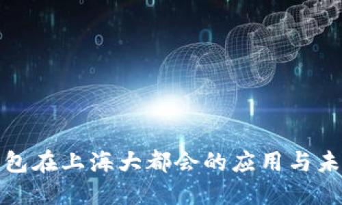 数字钱包在上海大都会的应用与未来发展