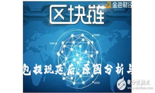 区块链钱包提现延后:原因分析与应对方案